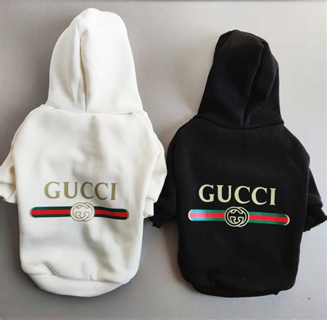 dog gucci hoodie|Gucci dog collars and leashes.